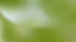 La acerola, es una fuente rica de potentes antioxidantes como el ácido ascórbico