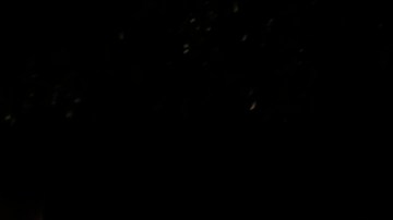 Fallas eléctricas en Venezuela: gobierno de Maduro denuncia un nuevo "ataque terrorista"