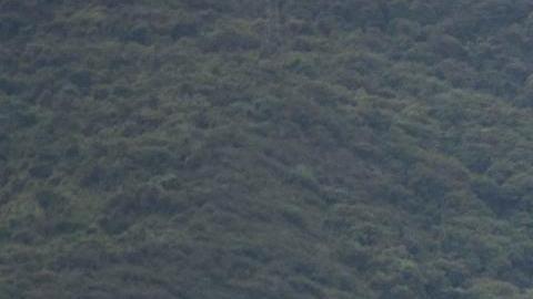 Régimen de Maduro dice que apagón masivo en Venezuela fue por un "ataque terrorista"