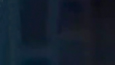 Aracely Arámbula actuando en público.