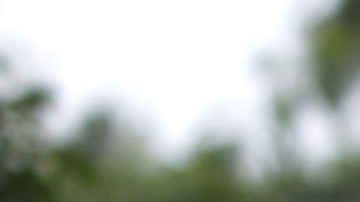 Tormenta Ernesto en Puerto Rico