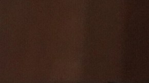 Excandidato recusó a presidenta del Supremo de Venezuela por sus vínculos con el chavismo