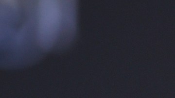 El uso del tema de Céline Dion en el mitin de Trump ha generado controversia.