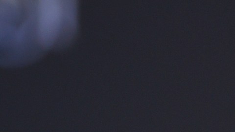 El uso del tema de Céline Dion en el mitin de Trump ha generado controversia.