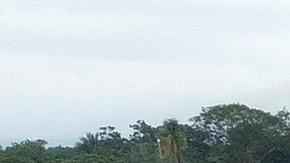 Trabajadores construyen el nuevo Centro Multiservicios este miércoles en Tapachula (México). La Comisión Mexicana de Ayuda a Refugiados (Comar).