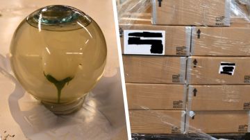 Los agentes de CBP en Laredo inspeccionaron un camión y descubrieron la droga en los arreglos florales.