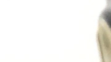 cupones-snap-agosto-2024