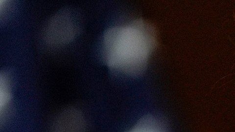 Trump agradece a Kennedy Jr. por su apoyo electoral tras suspensión de campaña