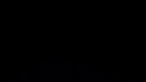 ¿Cuántos miles de dólares ganó Donald Trump por vender Biblias?