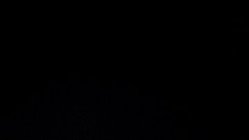 ¿Cuántos miles de dólares ganó Donald Trump por vender Biblias?