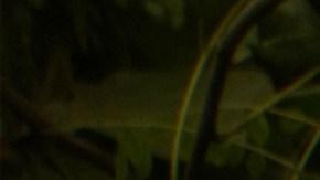 Tormenta Ernesto en Puerto Rico