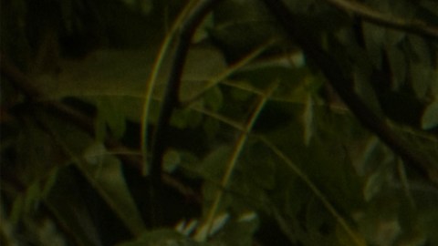 Tormenta Ernesto en Puerto Rico