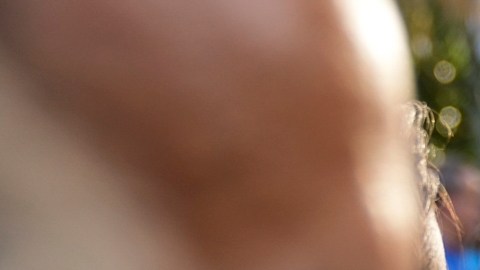 Edmundo González no asistió a tercera citación: ¿qué puede ocurrirle?