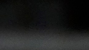 Donald Trump le dice a Elon Musk que es bueno llevarse bien con líderes como Putin