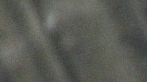 Fernando Colunga posando.