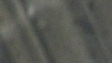 Fernando Colunga posando.