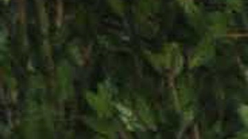 Halle Berry busca proteger el bienestar de su hijo Maceo, fruto de su relación con Olivier Martinez.