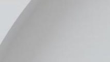 Bridgemon, quien también enfrenta un cargo adicional de evasión del arresto, permanece detenido en la cárcel del condado de Lamar.