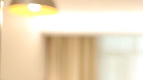En la actualidad, la industria hotelera está respaldada por empresas familiares, empresarios inmigrantes de primera y segunda generación, y propietarios de pequeñas empresas que brindan servicios de limpieza y mantenimiento.
