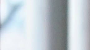 Los demandantes son, en su mayoría, ciudadanos venezolanos. Foto referencial.