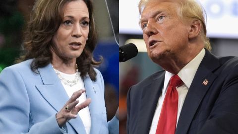 Kamala Harris tiene ligera aventaja sobre Trump para las presidenciales: encuesta