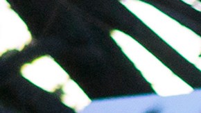 "La polarización política también influye en los sentimientos de pertenencia", dijo uno de los encuestadores sobre los latinos en EE.UU..