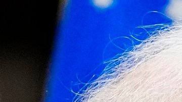 Lula da Silva se distancia de su aliado Maduro: no reconoce su victoria en presidenciales