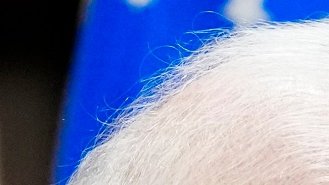 Lula da Silva se distancia de su aliado Maduro: no reconoce su victoria en presidenciales