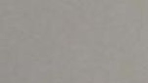 Jalesia Offer, y su pareja, Brandon Wheatley, ambos de 34 años, de Baltimore.