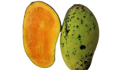 Bad,Mango,On,A,White,Background