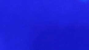 Michelle Obama encendió la convención demócrata con dura crítica contra Donald Trump