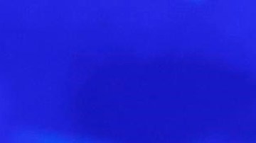 Michelle Obama encendió la convención demócrata con dura crítica contra Donald Trump