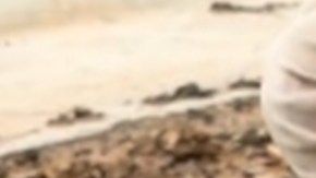 Joven de Guatemala muestra cuánto gana como albañil en EE.UU. y se hace viral