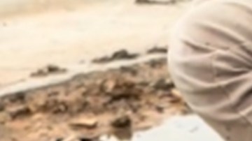 Joven de Guatemala muestra cuánto gana como albañil en EE.UU. y se hace viral