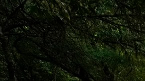 ¿Qué acordaron Estados Unidos, Colombia y Panamá sobre la migración?