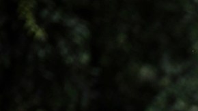 ¿Cuándo comenzarán los vuelos desde EE.UU. para regresar a migrantes que crucen Darién?