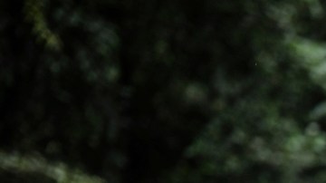 ¿Cuándo comenzarán los vuelos desde EE.UU. para regresar a migrantes que crucen Darién?