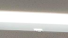 La Coalición por los Derechos Humanos de los Inmigrantes (CHIRLA) destacó los beneficios del plan de regularización.