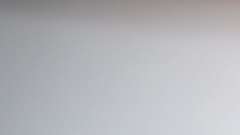 La exniñera de Florida aceptó un acuerdo con la fiscalía para evitar un juicio por asesinato en primer grado.