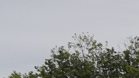 Agentes de la policía francesa.