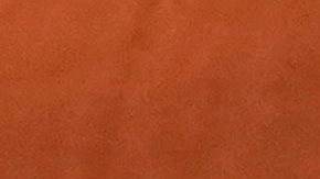 Novak Djokovic celebra tras vencer al español Carlos Alcaraz en la final del tenis olímpico.