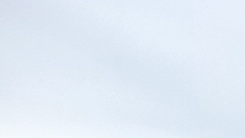Los asistentes disfrutaron de un evento lleno de música, gastronomía y mucha alegría.