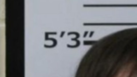 Mikki Dee Moody y Sean David Moody, de Tennessee, fueron acusados ​​de abuso infantil agravado, negligencia y puesta en peligro de un niño.