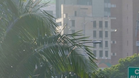 ¿Cuántos detenidos hay en Venezuela por las protestas contra los resultados electorales?