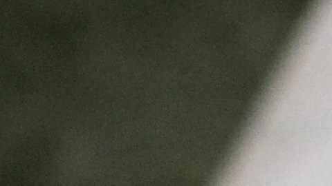 seguro-social-pagos-promedio-1918-agosto-2024