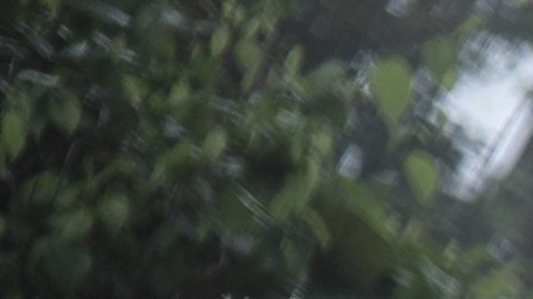 En 2023, más de 520,000 migrantes cruzaron la selva del Darién.