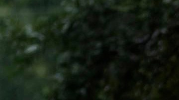 Varias personas atan un cable de remolque a un vehículo varado en una calle inundada después de las fuertes lluvias de la tormenta tropical Debby, el lunes 5 de agosto de 2024, en Savannah, Georgia.