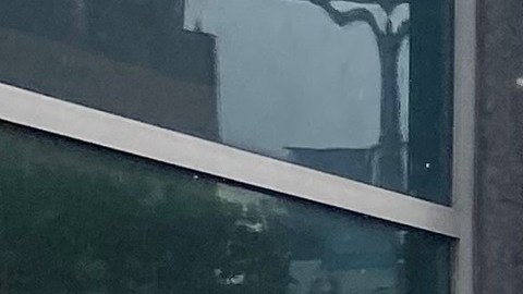 Esta tarde muchos neoyorquinos se apresuraban a llegar a sus destinos.