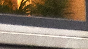 usps-empleo-salario-sueldo-2024