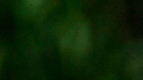 Después de los venezolanos, los colombianos y los ecuatorianos son quienes más han cruzado el Darién.